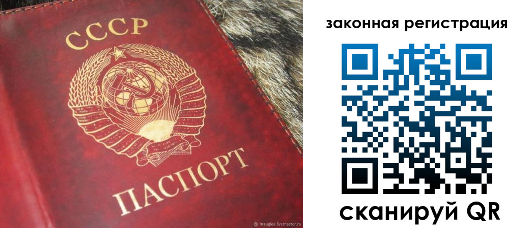 прописка от собственника в Луге